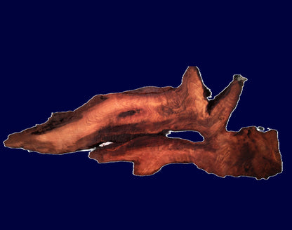 Redwood curly slab | DIY | burl table | river table | headboard | bsz1416