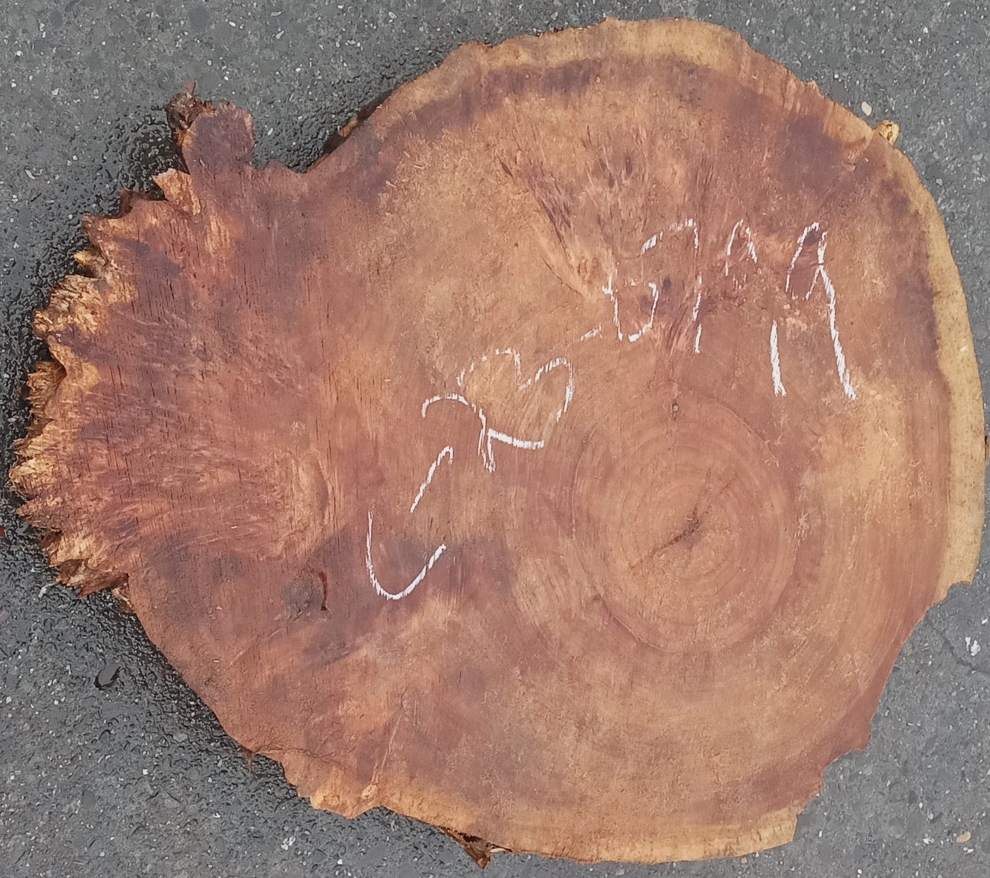 Black Poplar slab | live edge | cookie cut | river table | 23-0799