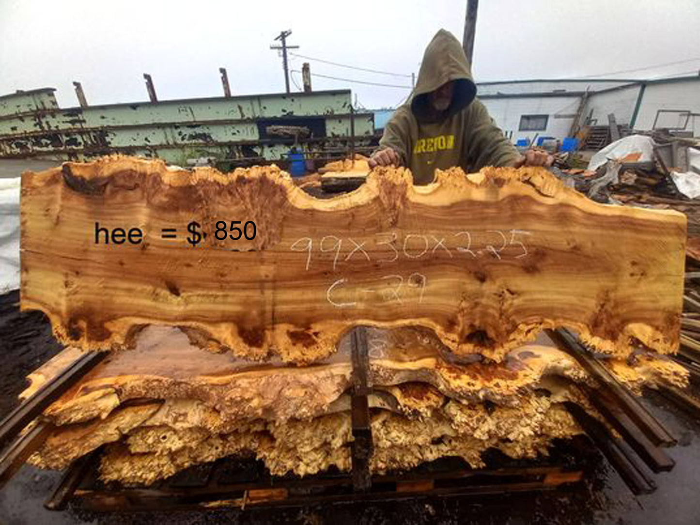 Poplar cluster burl | epoxy river table | live edge slab | DIY ideas | c-29
