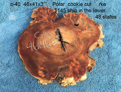 Poplar | cookie cut | burl slab | wood craft ideas | DIY wood | c-40