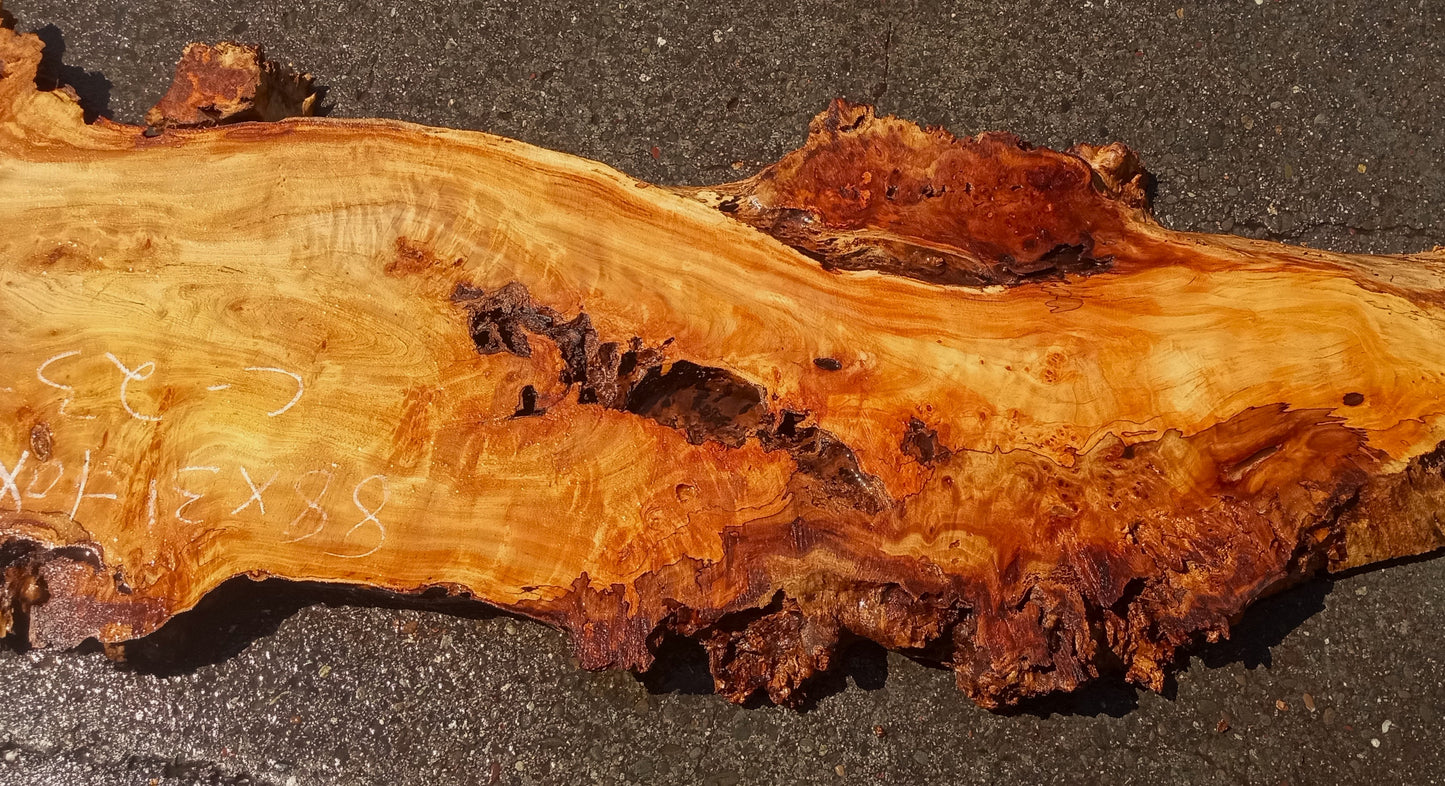 Mappa | Poplar burl | epoxy river table | live edge slab | DIY ideas | p23-0787