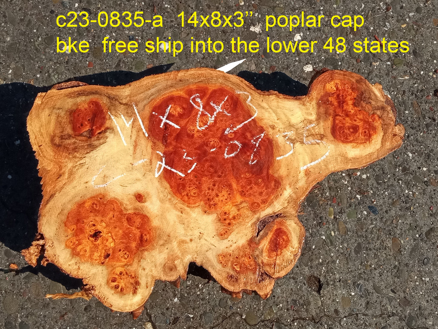 Mappa burl | Poplar | burl slab | wood craft ideas | DIY wood | c23-0835