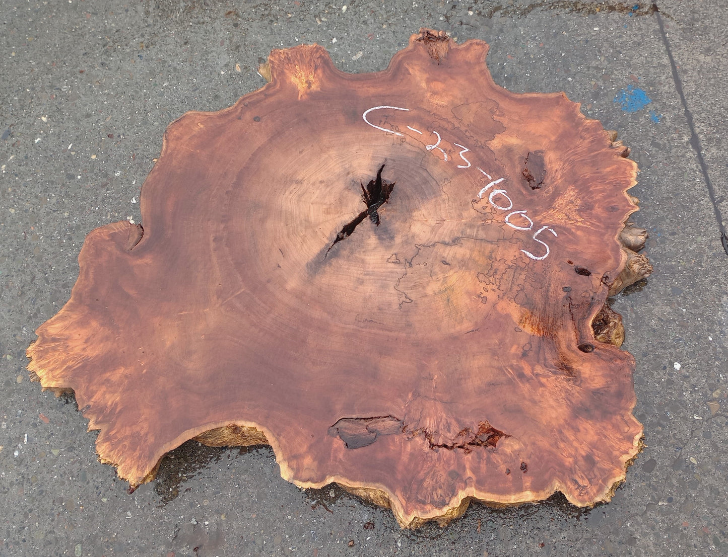 Poplar cookie cut | live edge slab | craft woods | DIY | river table | c23-1005