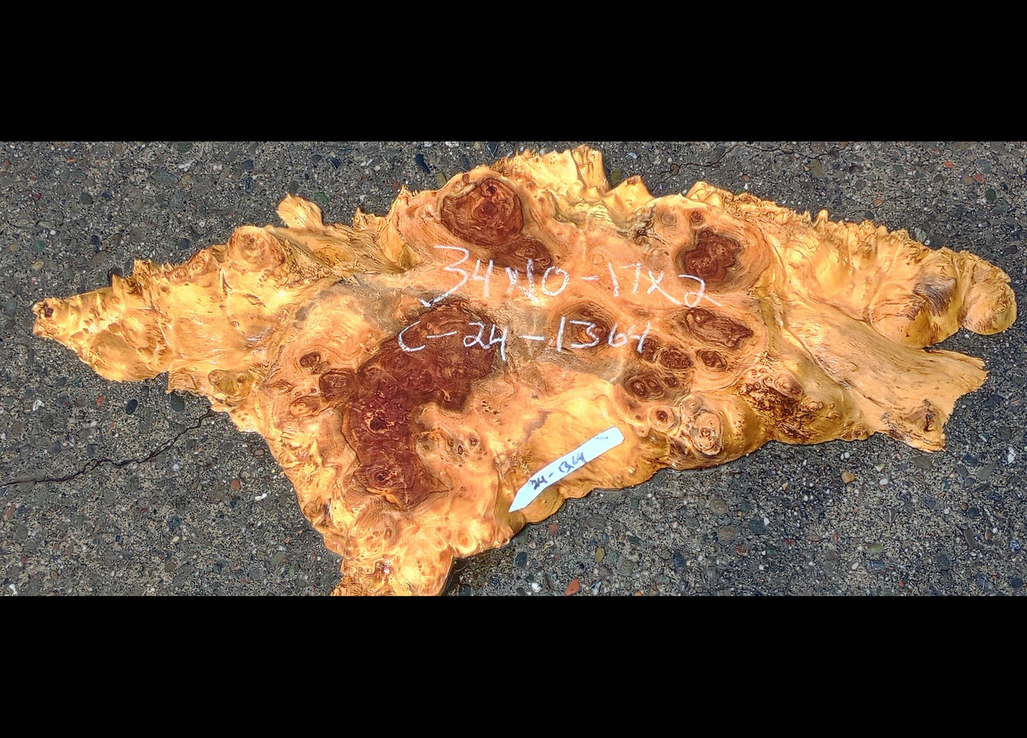 Poplar Burl Slab| Craft Woods | DIY | Epoxy Idea | C24-1364