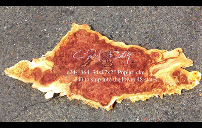 Poplar Burl Slab| Craft Woods | DIY | Epoxy Idea | C24-1364