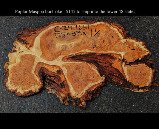 Poplar slab | live edge | Cluster Burl | epoxy river table | C24-0661