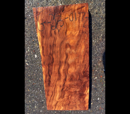 quilted redwood | guitar blank  | DIY  |  turning | g23-0177