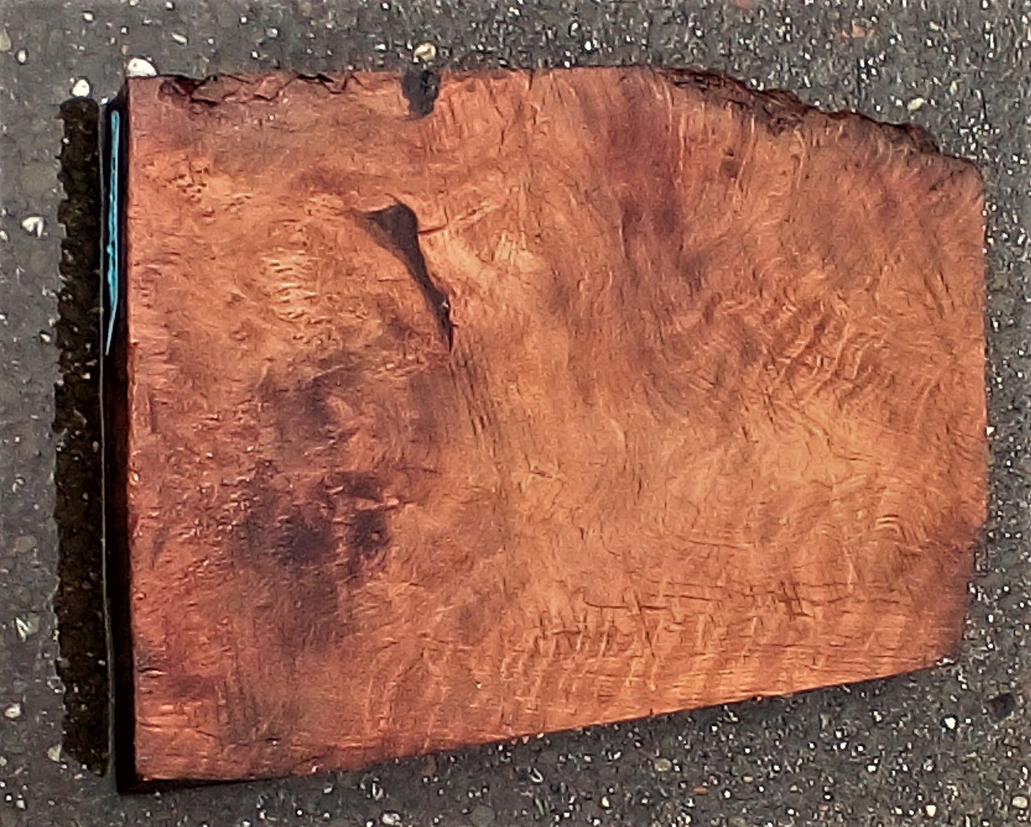 Quilted redwood | guitar blank | burl table | DIY crafts | g23-0208