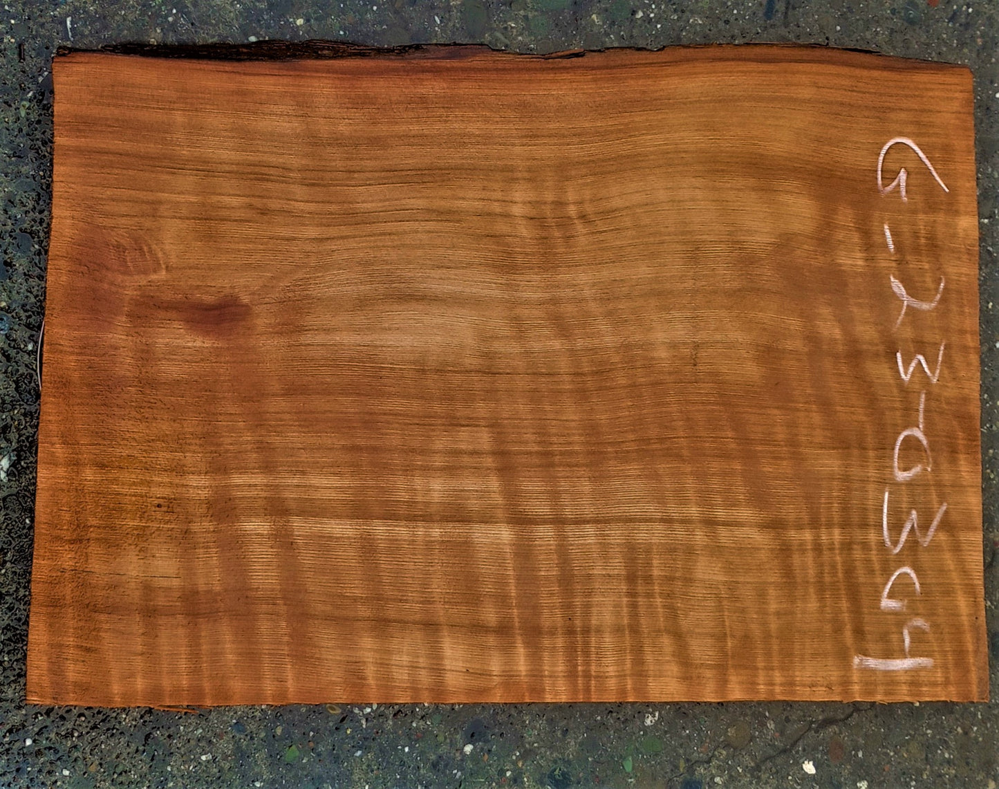 quilted Redwood | old growth | Guitar blank |  DIY wood craft | g23-0304