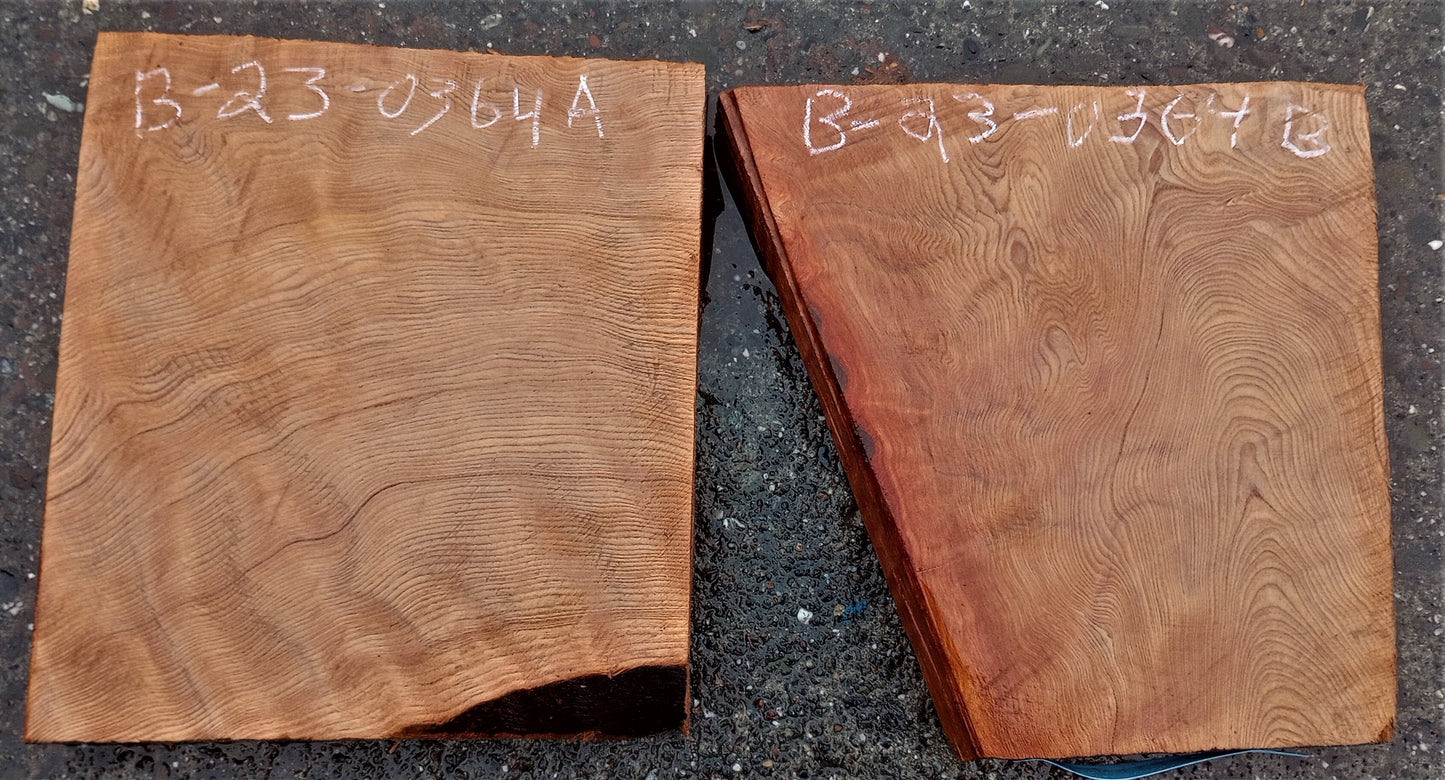 Redwood | old growth | bowl turning | wood turning | DIY | g23-0364