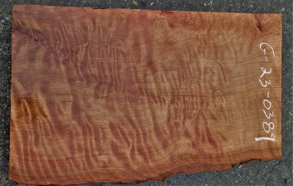 quilted Redwood | old growth | Guitar blank |  DIY wood craft | g23-0389