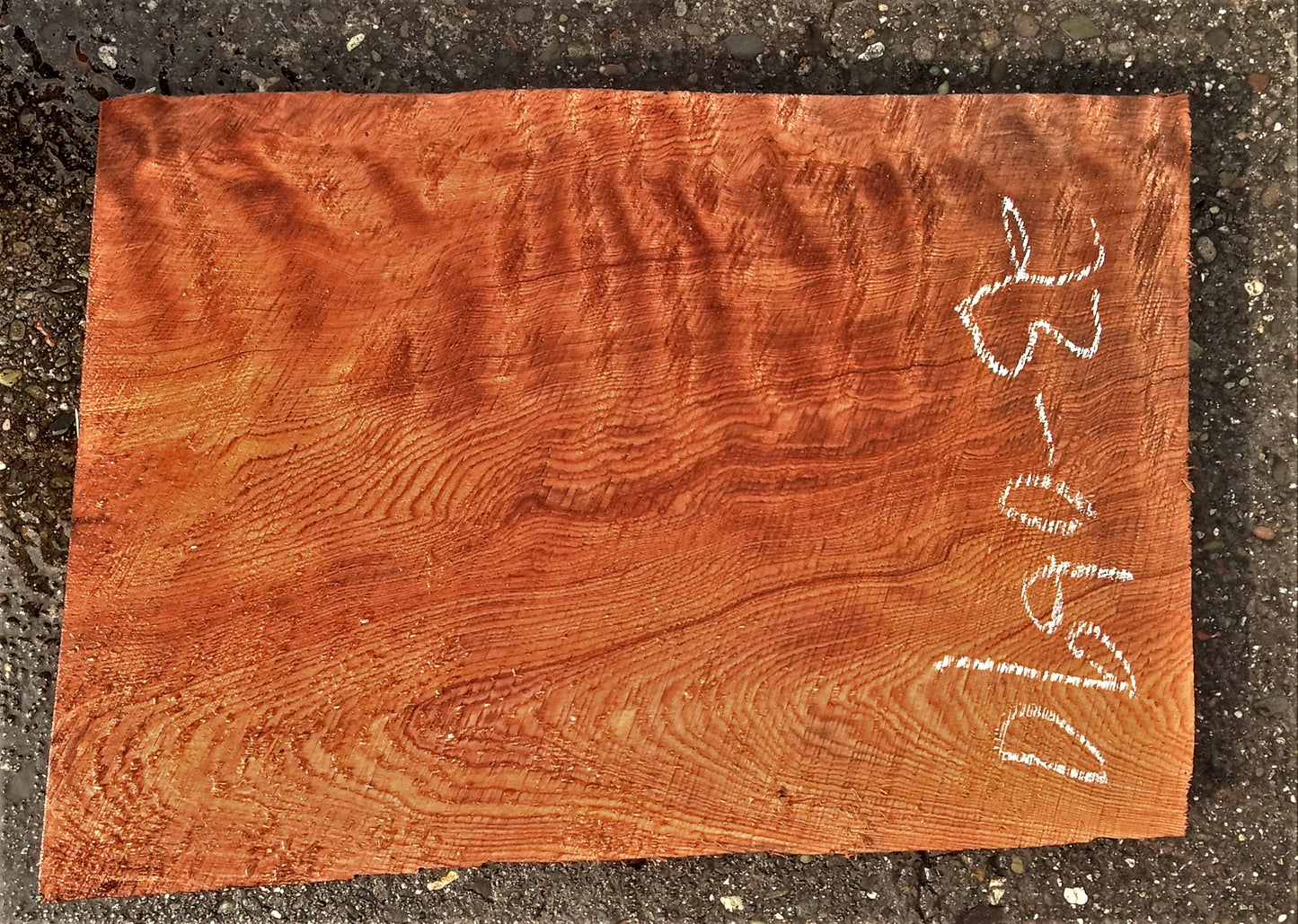 Quilted redwood | guitar billet | wood turning | DIY crafts | g23-0690