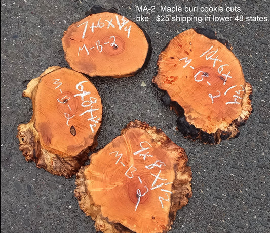 4 Maple burl slabs | live edge | cookie cut | DIY crafts | ma23-2
