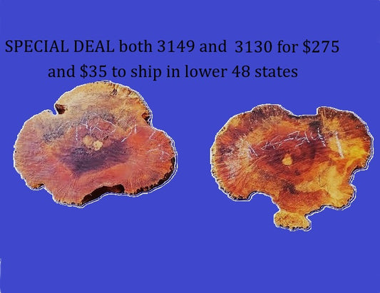 2 Maple Burls | Live Edge | River Table | DIY | M25-3130 and MA25-3149