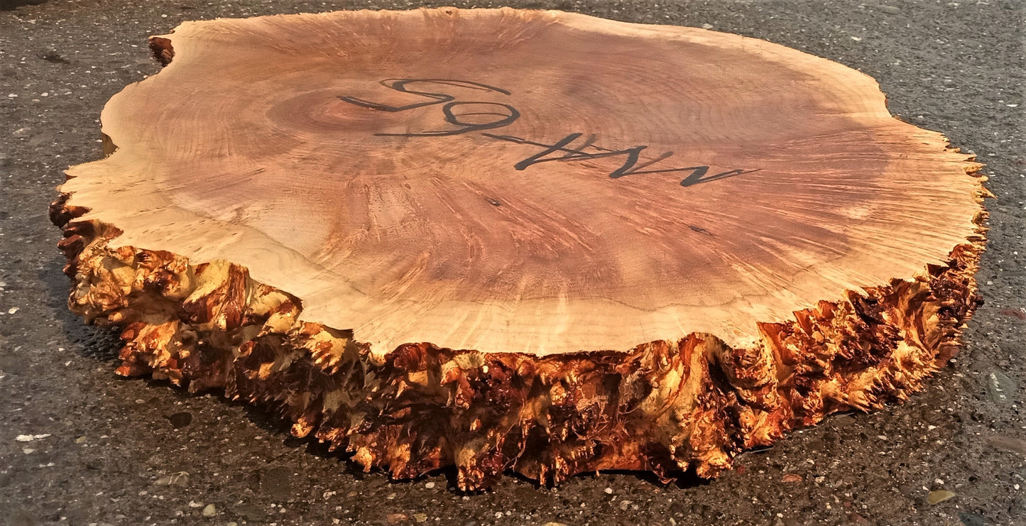 Maple burl slab | live edge | cookie cut | river table | ma65