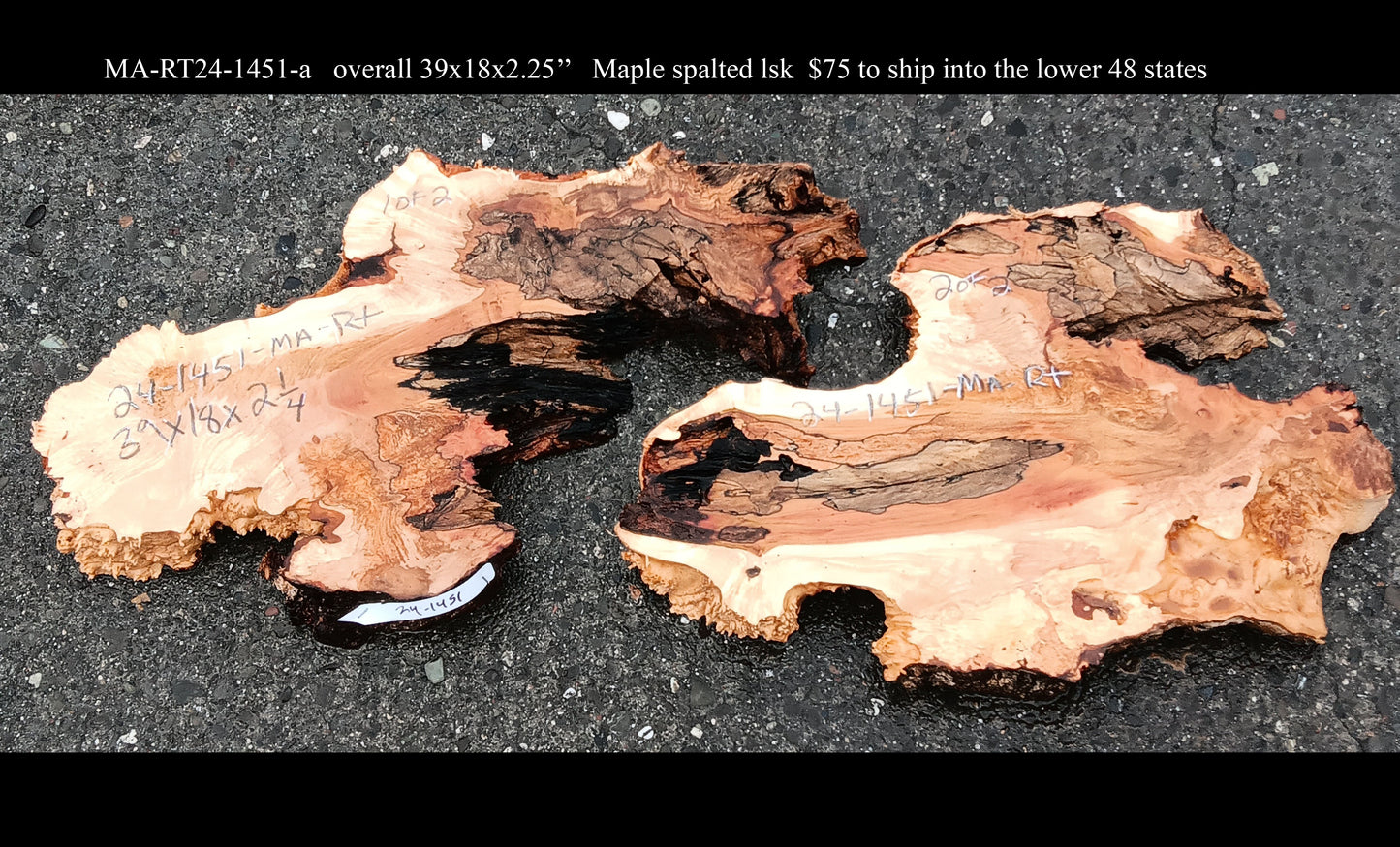 Spalted Maple  | River Table | DIY Craft Wood | MA24-1451