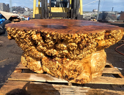 Maple solid burl | live edge table | one piece table | ma1piecetable