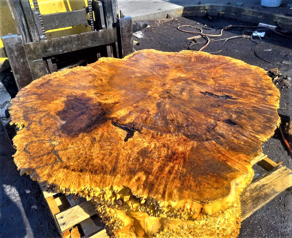 Maple solid burl | live edge table | one piece table | ma1piecetable