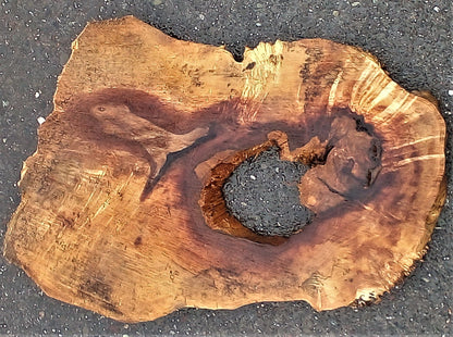 Maple | burl table | exotic wood | epoxy river table | DIY | ma23-0391