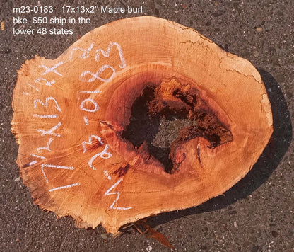 Maple burl | cookie cut | burl slab | wood craft ideas | DIY wood | ma23-0783