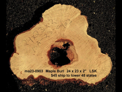 Maple burl slab | epoxy river table | DIY wood | craft woods | ma23-0903
