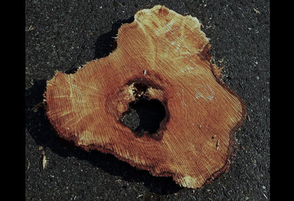 Maple burl slab | epoxy river table | DIY wood | craft woods | ma23-0903