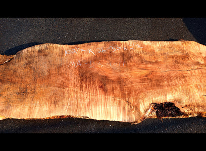 quilted maple slab | craft woods | DIY | river table | ma23-1011