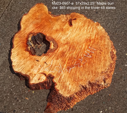 Maple burl slab | epoxy river table | DIY wood | craft woods | ma23-0907