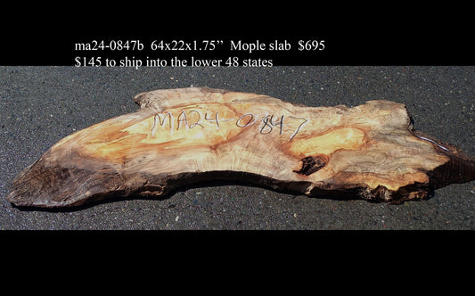 Spalted Maple Slab | Table | Live Edge | Headboard | DIY |  MA24-0847