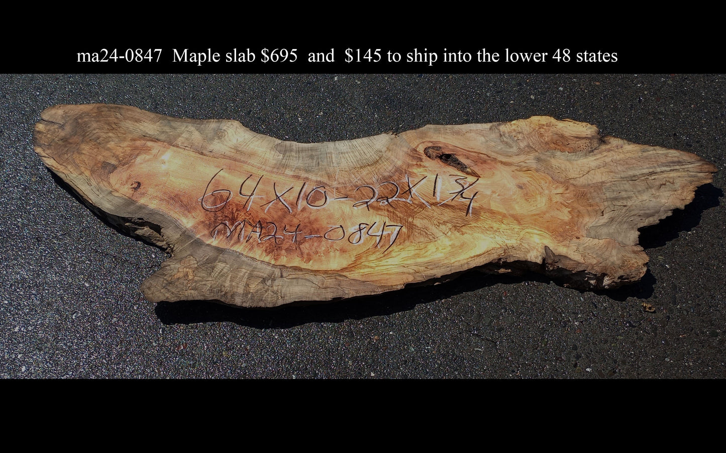 Spalted Maple Slab | Table | Live Edge | Headboard | DIY |  MA24-0847