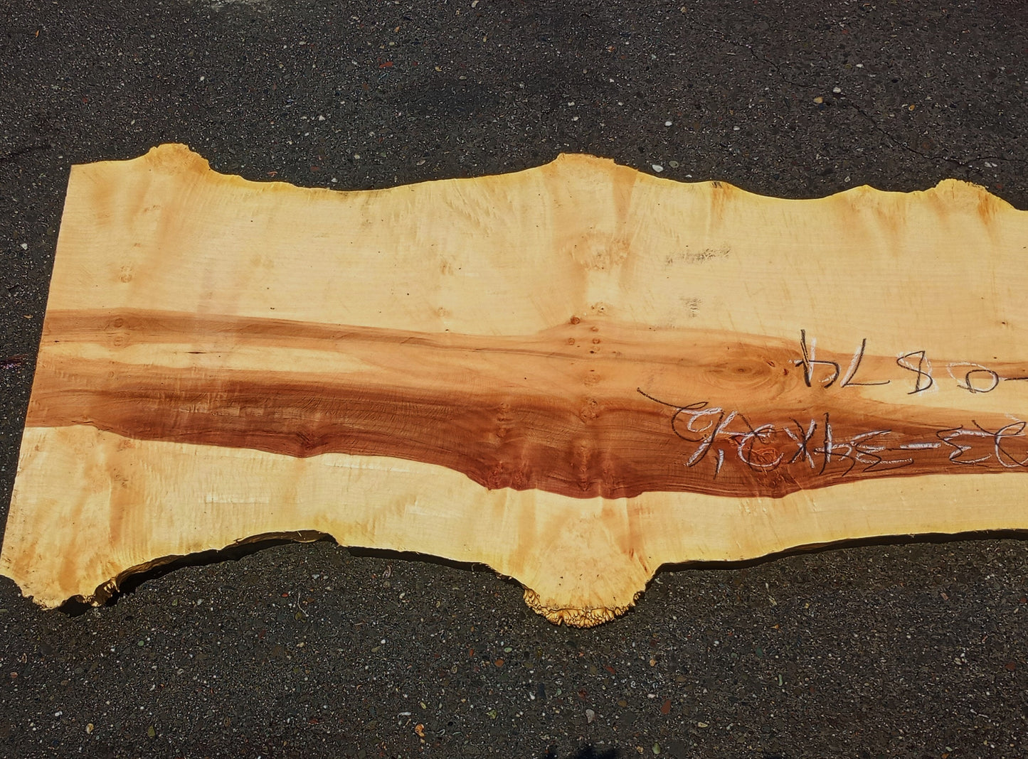 Maple Cluster Burl Log | Table Top | Counter Top | Epoxy Idea | Ma24-0874