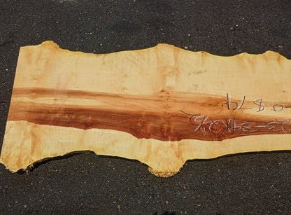 Maple Cluster Burl Log | Table Top | Counter Top | Epoxy Idea | Ma24-0874