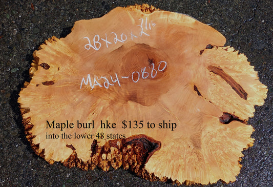 Maple Burl Slab | Craft Woods | DIY | Wall Art | MA24-0880