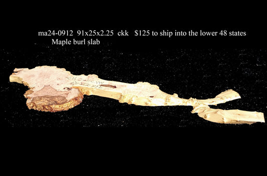 Maple Cluster Burl Log | River table | Wall Art | Epoxy Idea | Ma24-0912