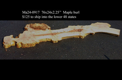 Maple Cluster Burl Log | River Table | Wall Art | Epoxy Idea | Ma24-0917