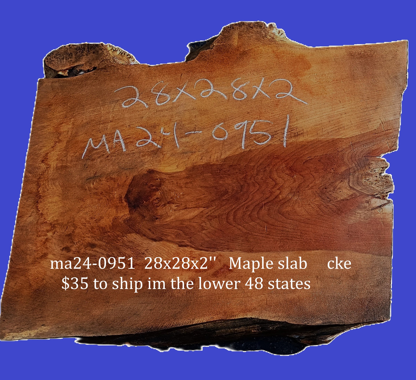 Maple Burl Slab | Burl | Craft Woods | DIY | Epoxy Idea| MA24-0951