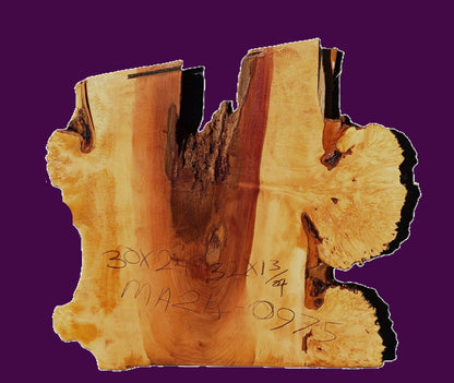 Maple Burl Log Cut | River Table | Wall Art | Epoxy Idea | DIY | MA24-0975