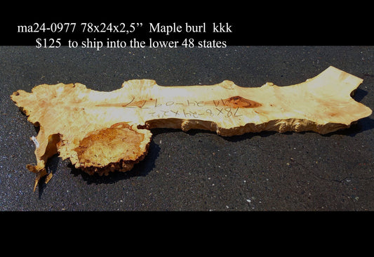 Maple Cluster Burl Log | River Table | Wall Art | Epoxy Idea | ma24-0977