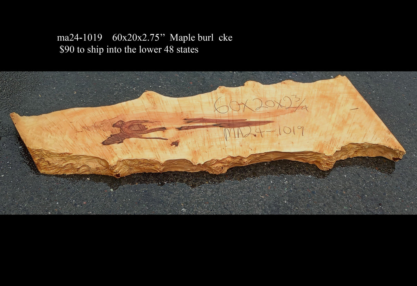 Maple Burl Slab | Maple | Table Slab | Epoxy Idea | ma24-1019