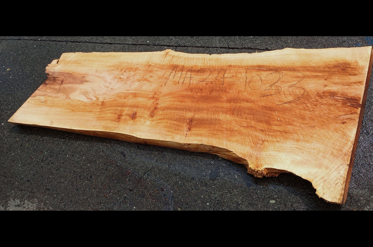 Maple Slab | Burl | Craft Woods | DIY | Epoxy Idea| Ma24-1033