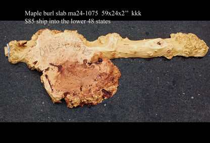 Maple Cluster Burl Log | River Table | Wall Art | Epoxy Idea | ma24-1075