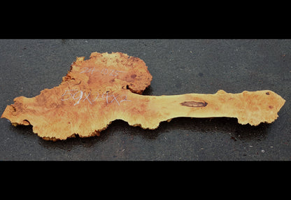 Maple Cluster Burl Log | River Table | Wall Art | Epoxy Idea | ma24-1075