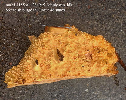 Maple Cap | Craft wood | Maple Burl | DIY Craft Wood | MA24-1155