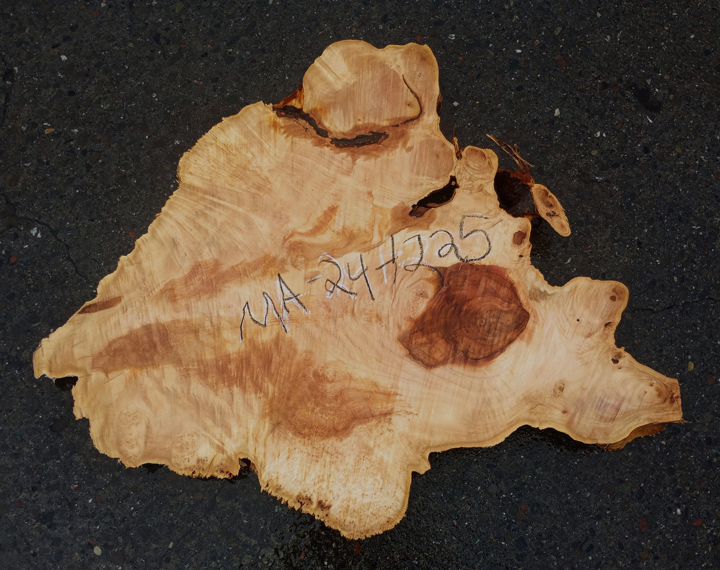 Maple Burl Slab | Craft Woods | DIY | Wall Art | MA24-1225