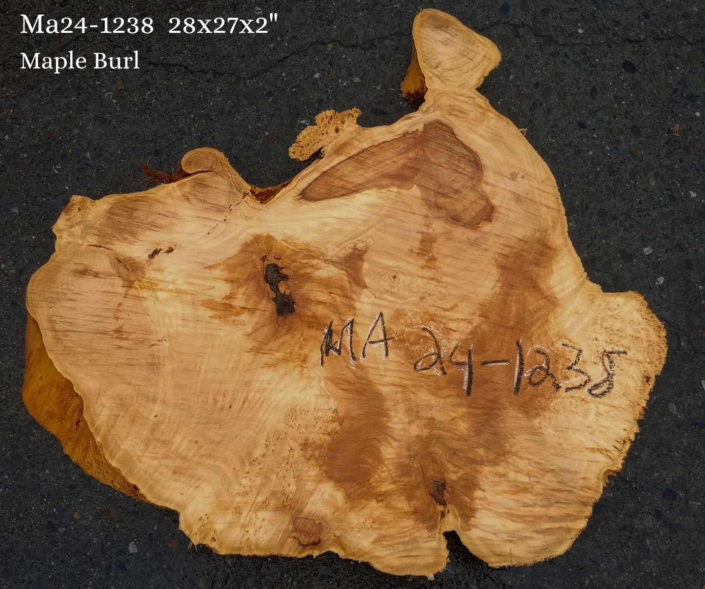 Maple Burl Slab | Craft Woods | DIY | River Table | MA24-1238