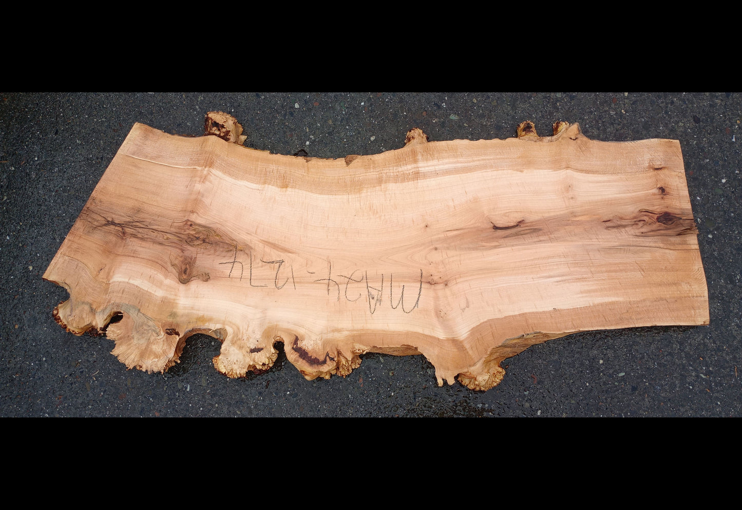 Maple Burl Slab | Maple | Table Slab | Epoxy Idea | MA24-1274