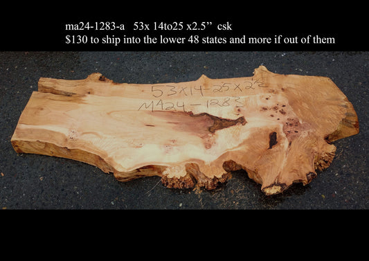 Maple Burl Slab | Maple | Table Slab | Epoxy Idea | MA24-1283