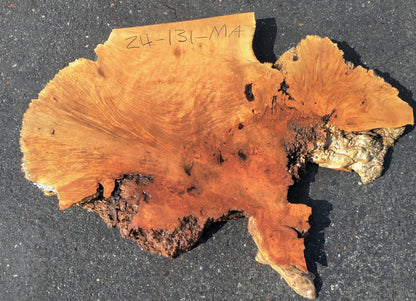 Live Edge Slab |  Maple Burl | epoxy river table | ma24-1310