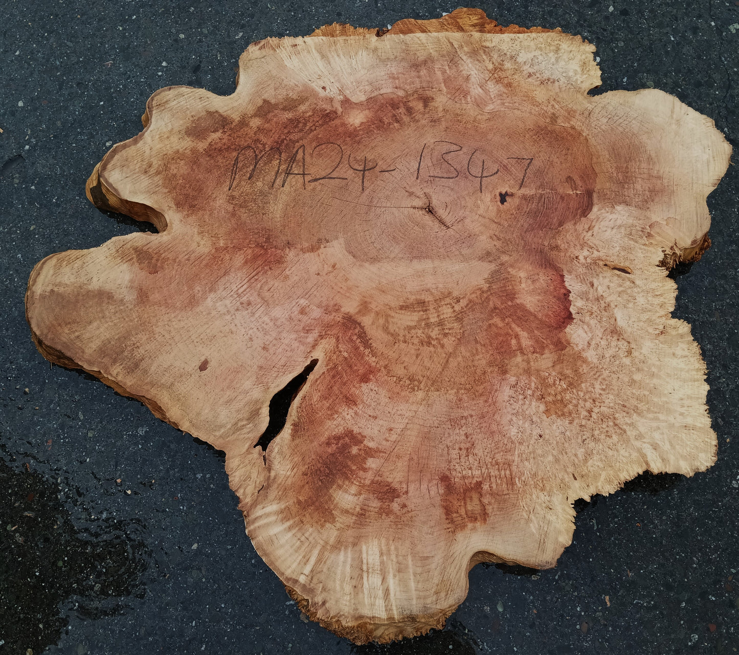 Live Edge Slab | Resin Art | Craft Wood | Maple Burl | Ma24-1347