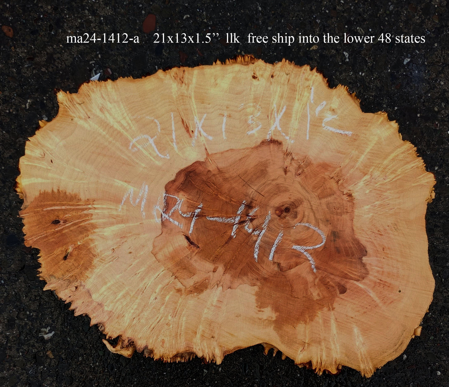 Maple Burl Slab | Craft Woods | DIY | Cookie Cut | MA24-1412